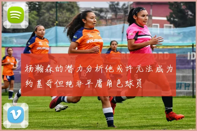 杨瀚森的潜力分析他或许无法成为约基奇但绝非平庸角色球员