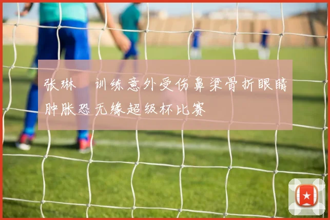 张琳芃训练意外受伤鼻梁骨折眼睛肿胀恐无缘超级杯比赛